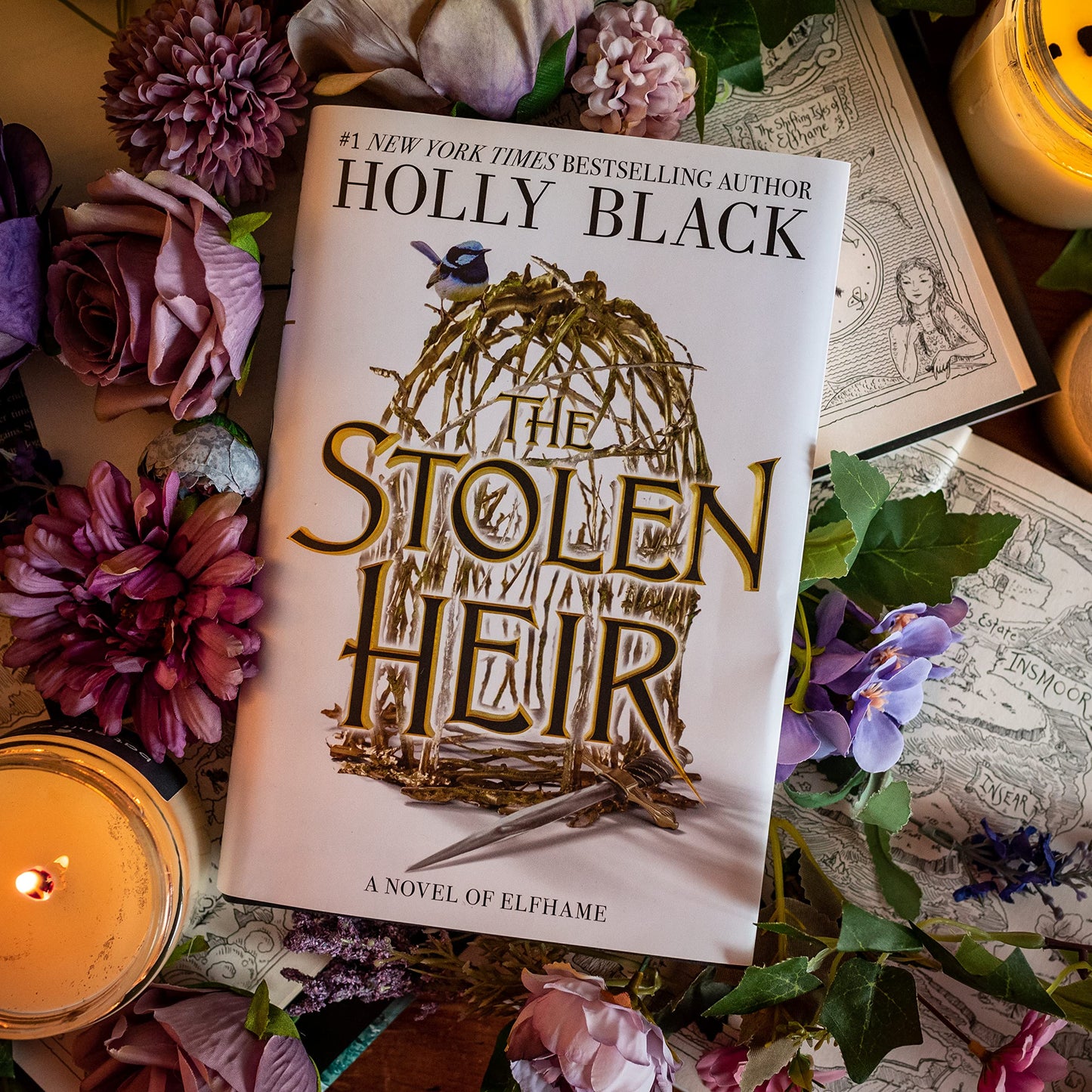 The _Stolen Heir by Holly Black