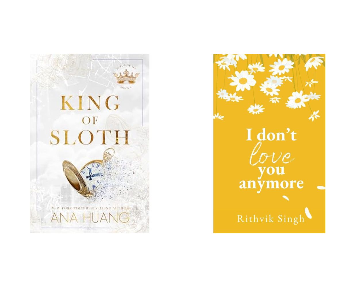 King Of Sloth by Ana Huang / I Don't love you anymore by rithvik singh set of 2 books