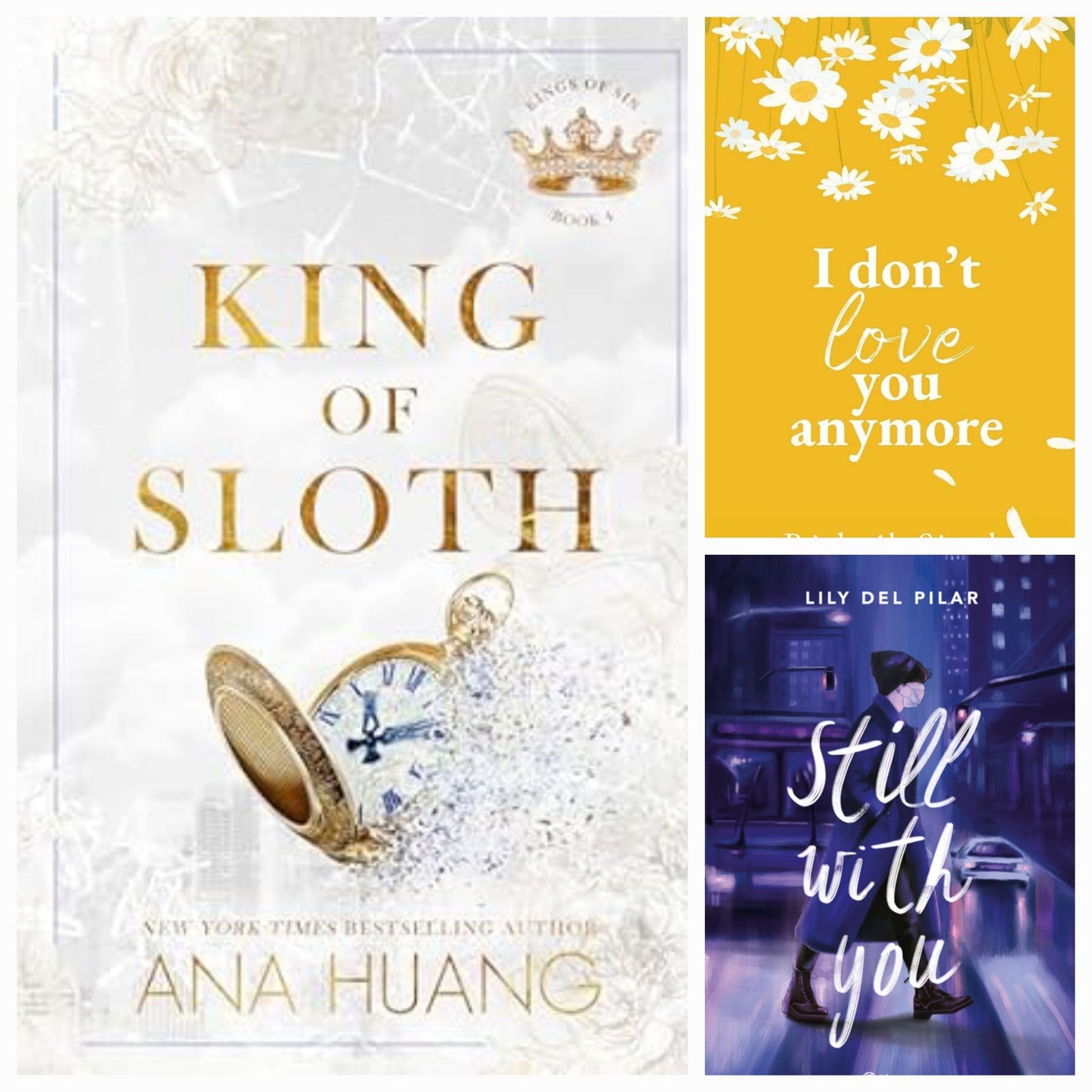 King Of Sloth by Ana Huang / I Don't love you anymore by rithvik singh / still with you by lily del pilar set of 3 books