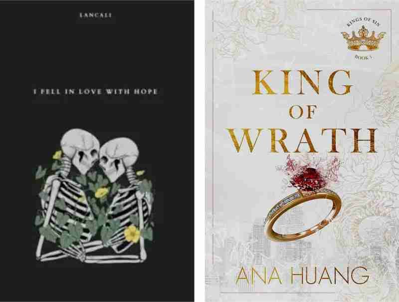 King of wrath / I fell in love with hope set of 2 books