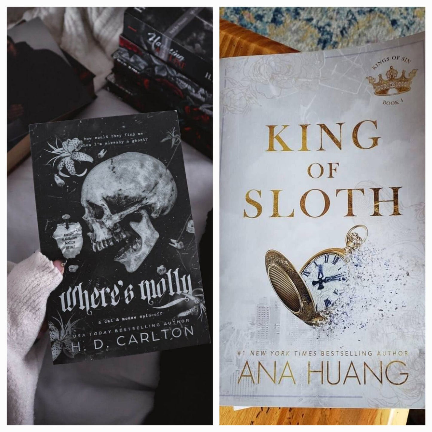 King Of Sloth book by Ana Huang / Where's Molly by H.D. Carlton set of 2 books