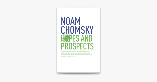 Noam chomsky hopes and prospects