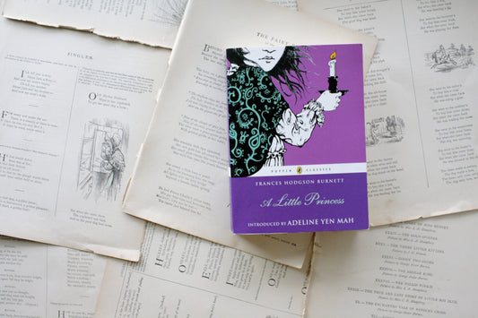 A Little Princess  by Frances Hodgson Burnett